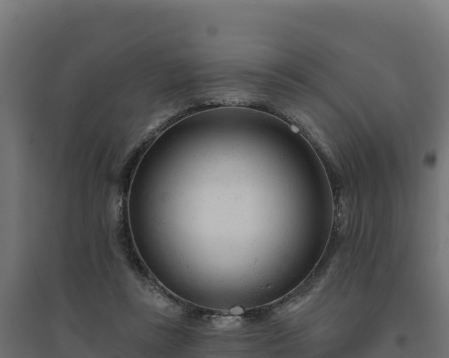 X0000094770355200711241322