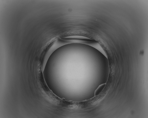 X0000094770356200711241322