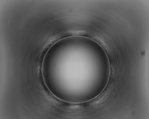 X0000094770357200711241322