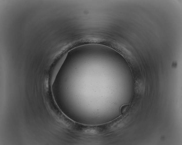 X0000094770358200711241322