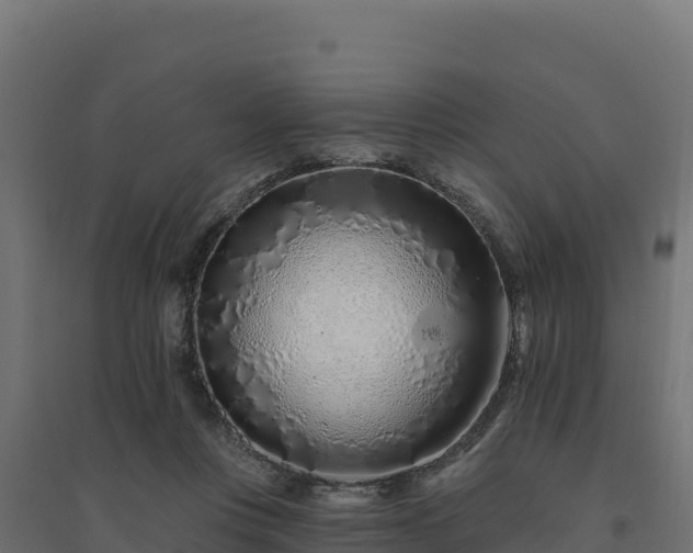 X0000094770359200711241322