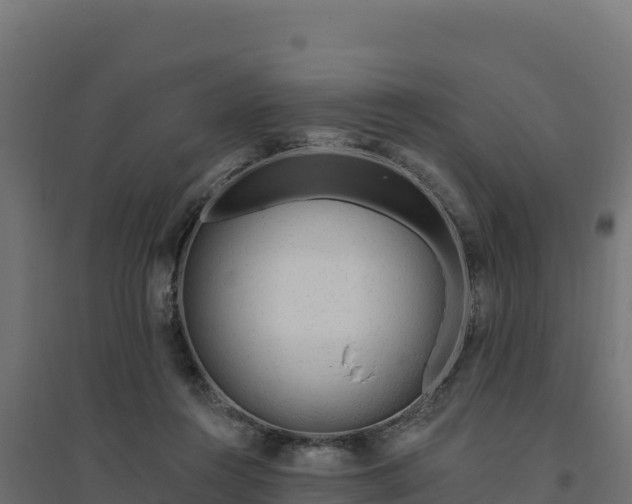 X0000094770360200711241322