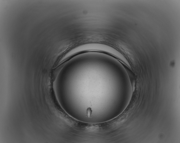 X0000094770362200711241322