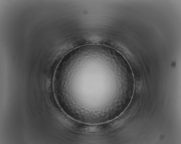 X0000094770365200711241322