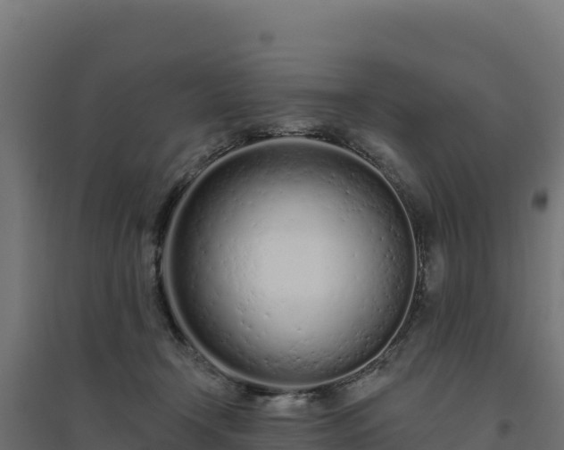 X0000094770366200711241322