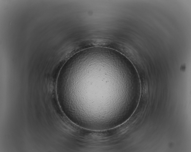 X0000094770367200711241322