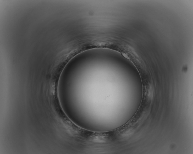 X0000094770368200711241322