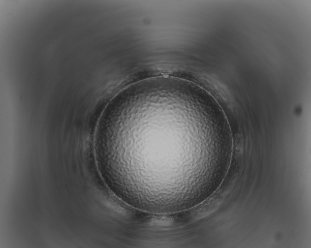 X0000094770369200711241322