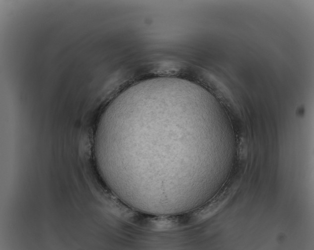 X0000094770370200711241322