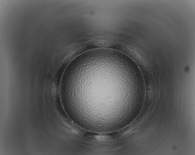 X0000094770371200711241322