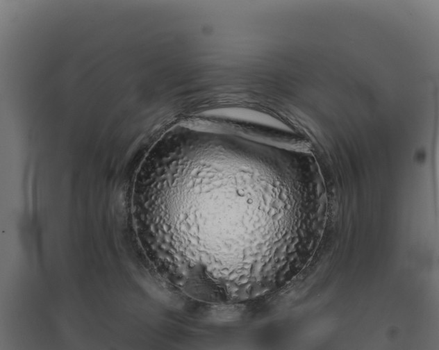 X0000094770373200711241322