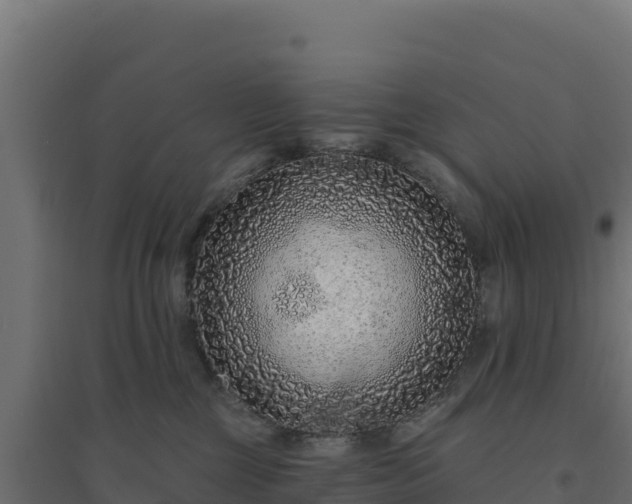 X0000094770377200711241322