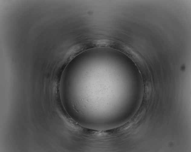 X0000094770379200711241322