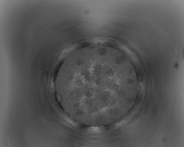 X0000094770381200711241322