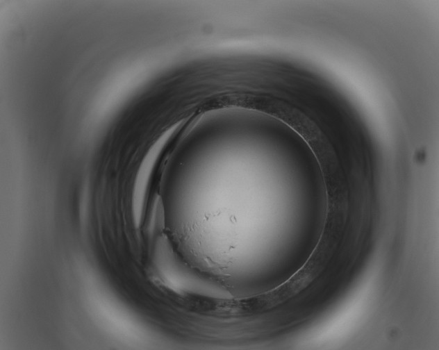 X0000094770382200711241322