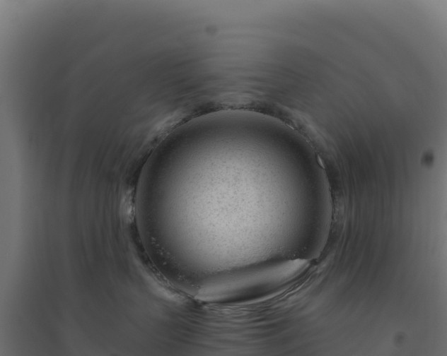 X0000094770383200711241322