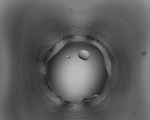 X0000094770384200711241322