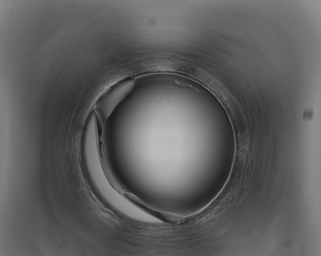 X0000094770386200711241321