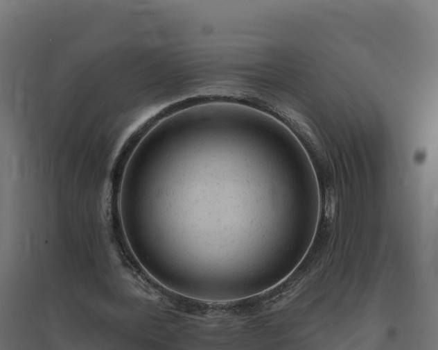 X0000094770388200711241321