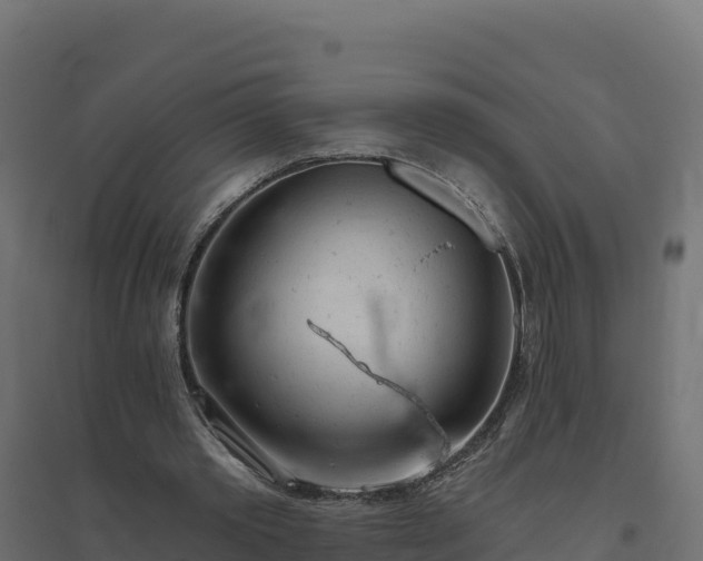 X0000094770389200711241321