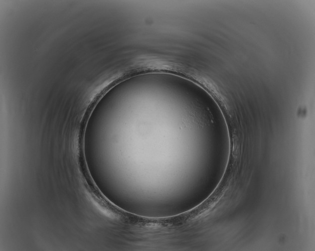 X0000094770390200711241321