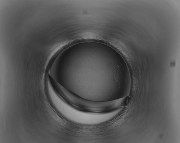 X0000094770391200711241321