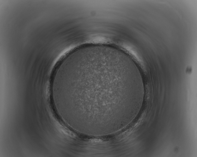 X0000094770392200711241321