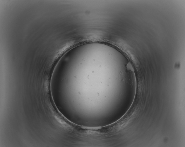 X0000094770393200711241321