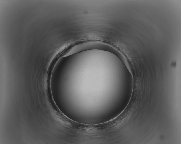 X0000094770395200711241321