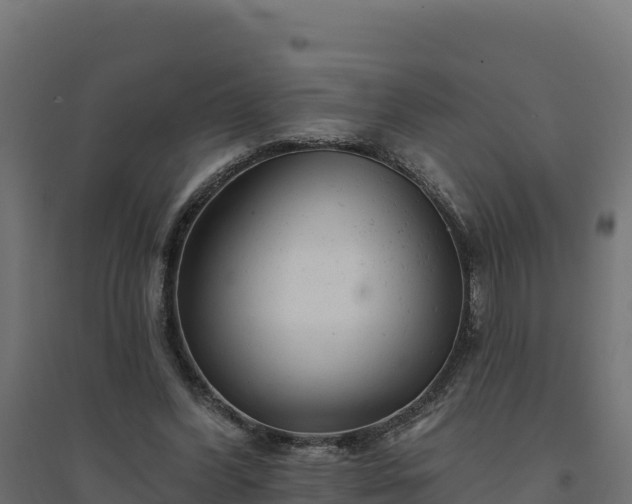 X0000094770396200711241321