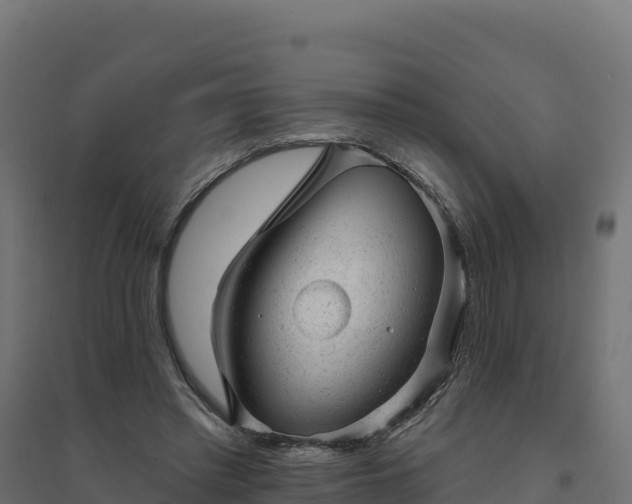 X0000094770397200711241321