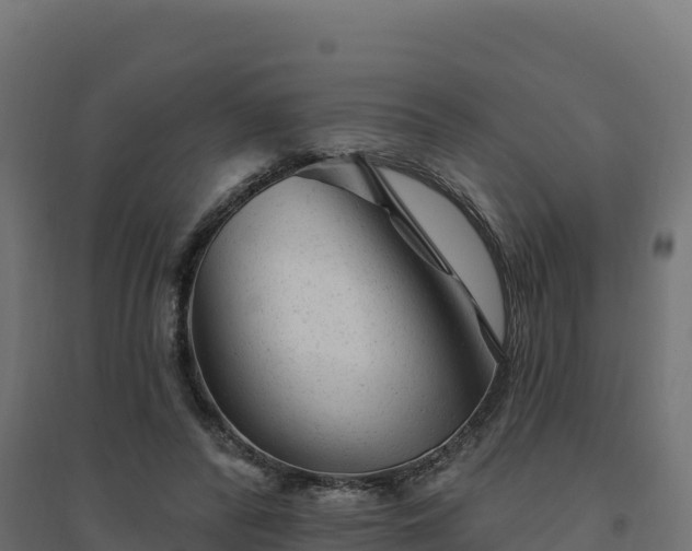 X0000094770400200711241321