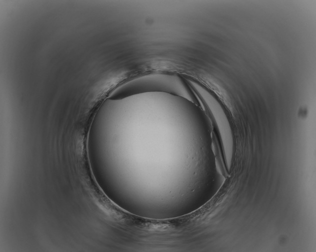 X0000094770401200711241321