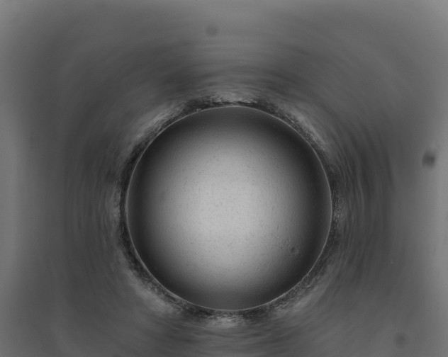 X0000094770402200711241321