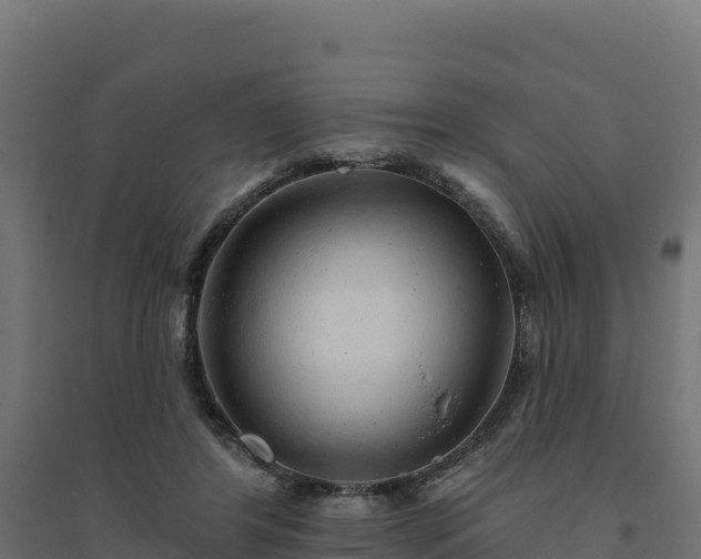 X0000094770404200711241321