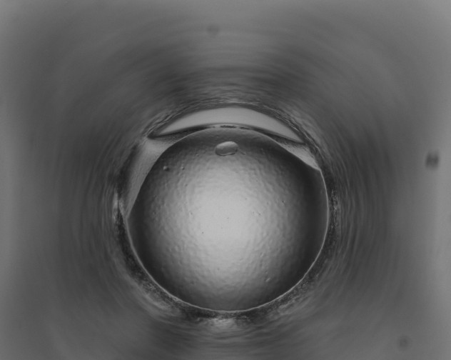 X0000094770406200711241321