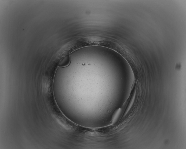 X0000094770408200711241321