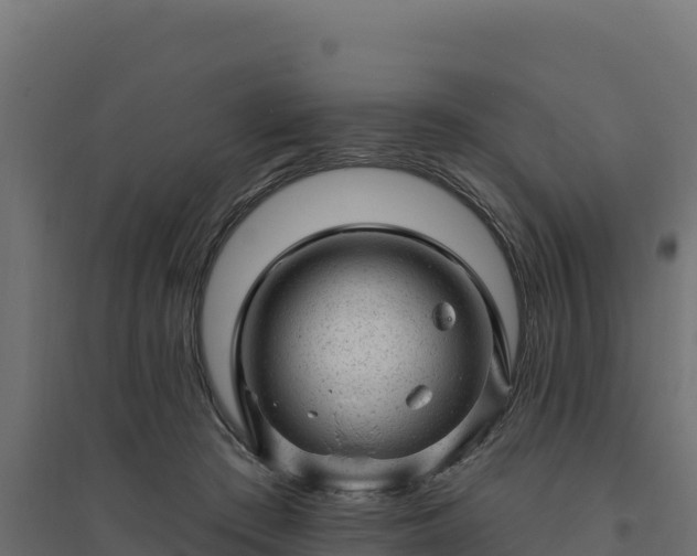 X0000094770409200711241321