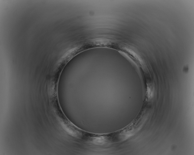 X0000094770411200711241321