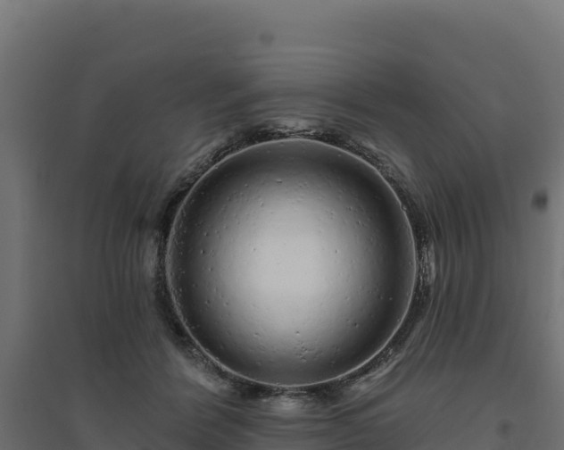 X0000094770412200711241321