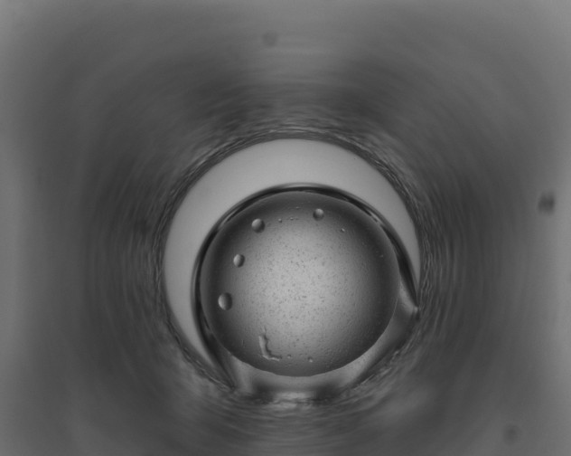 X0000094770415200711241321