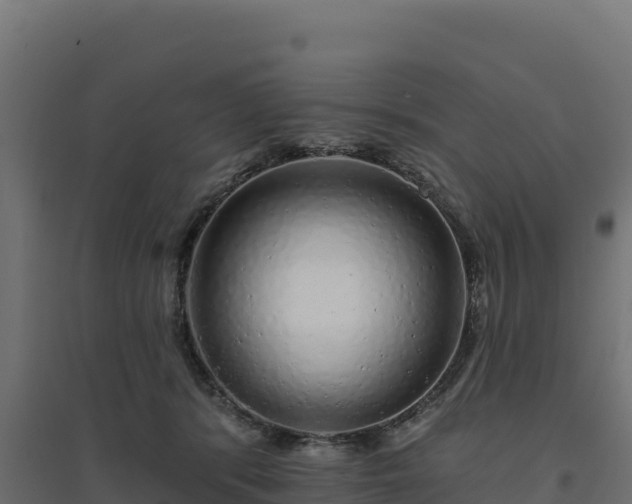 X0000094770416200711241321