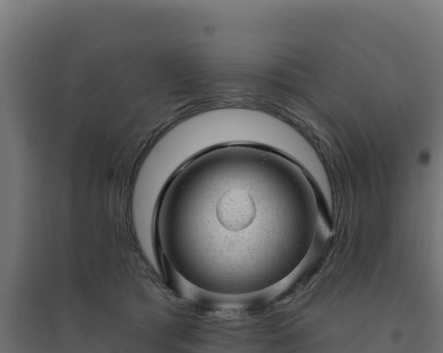 X0000094770417200711241321