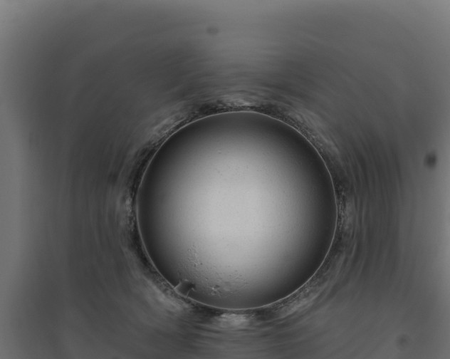 X0000094770418200711241321