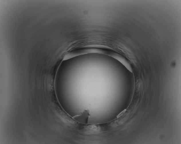 X0000094770421200711241321