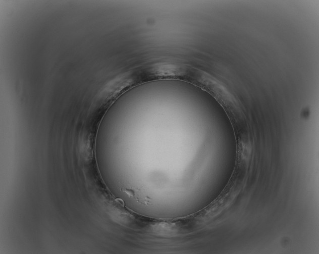 X0000094770422200711241321