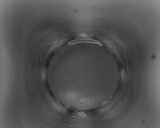 X0000094770423200711241321