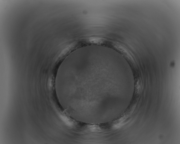 X0000094770424200711241321