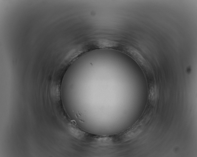 X0000094770426200711241321