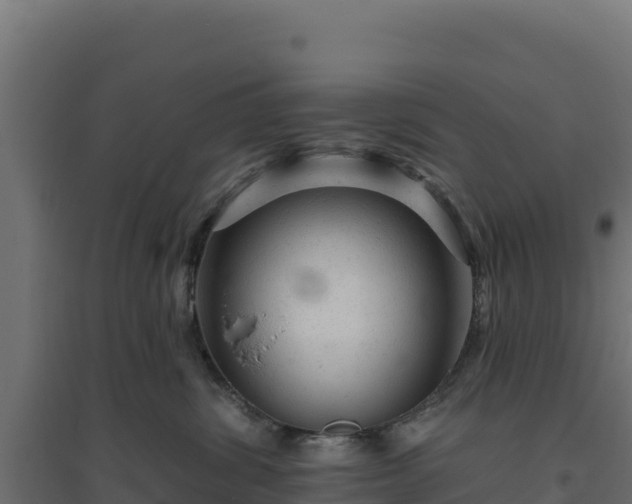 X0000094770428200711241321